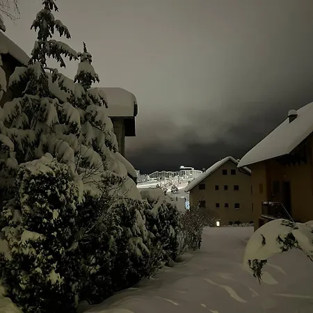 Jasmina * Zlatibor