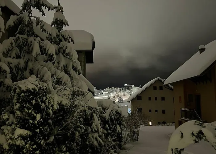 Jasmina * 兹拉蒂博尔