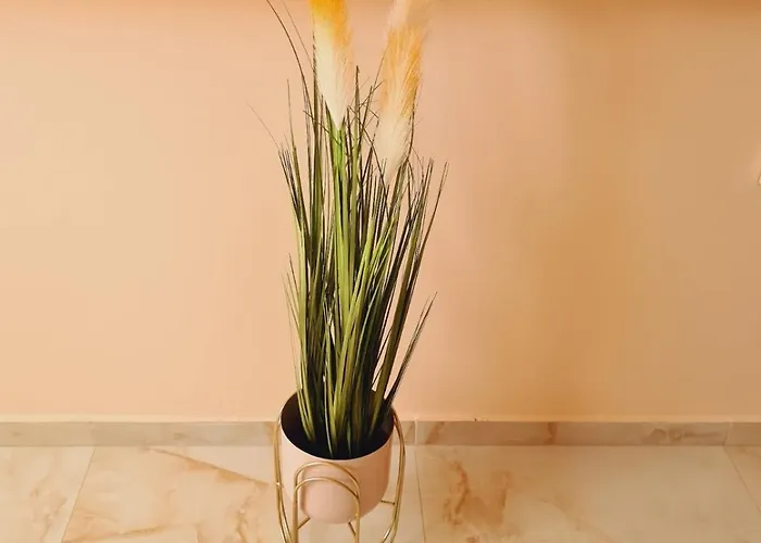 Jasmina 兹拉蒂博尔