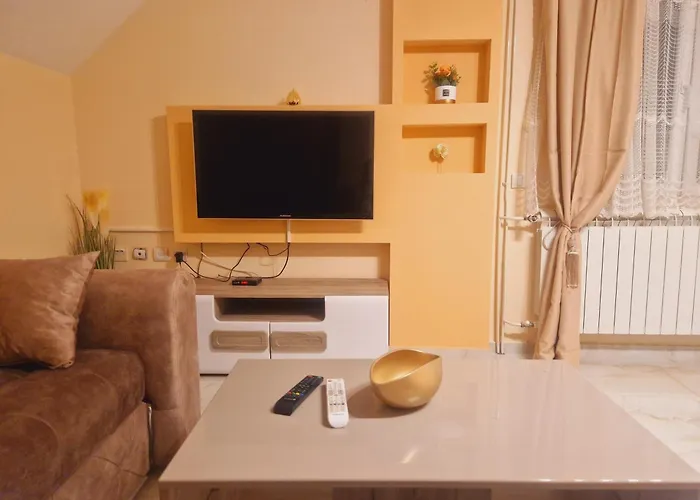 Jasmina 兹拉蒂博尔