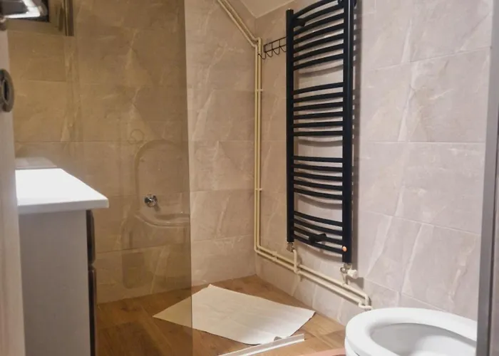 Jasmina 兹拉蒂博尔