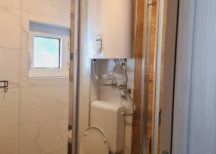 Jasmina 兹拉蒂博尔