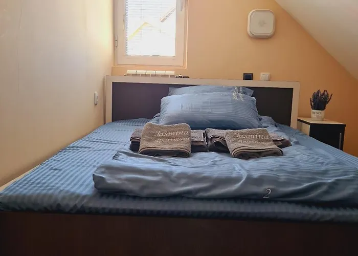 Jasmina * 兹拉蒂博尔