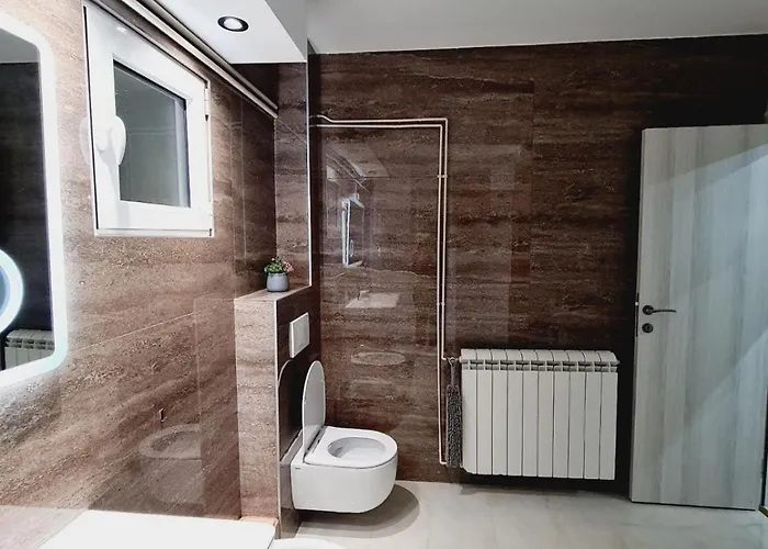 Jasmina 兹拉蒂博尔