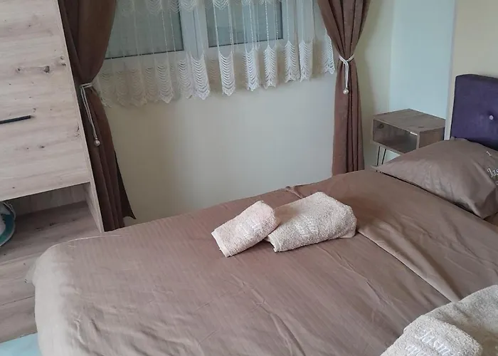 Jasmina 兹拉蒂博尔